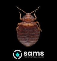 Sams Bed Bugs Pest Control  image 8